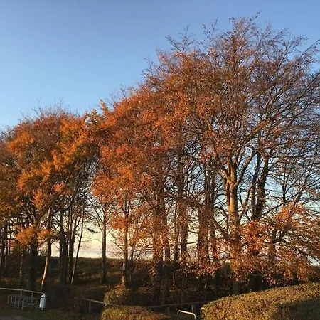 Luettje Bangbuex Апартаменты Цингст