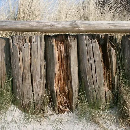 Luettje Bangbuex * Zingst